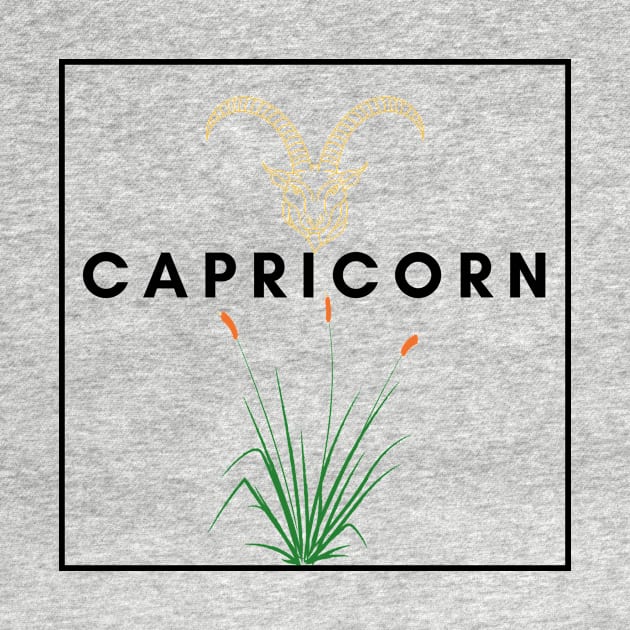 Capricorn zodiac by MOFF-